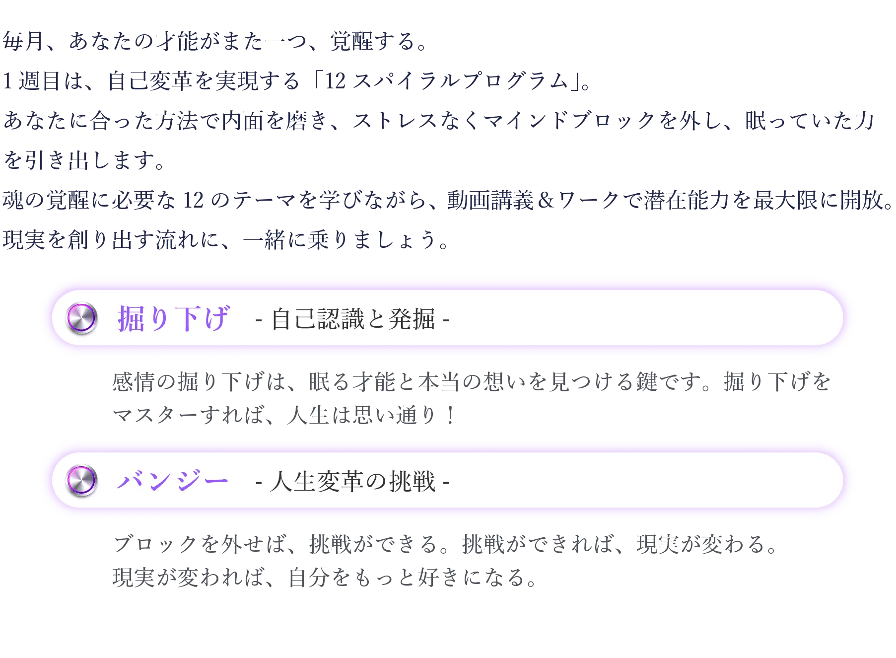 プログラム詳細